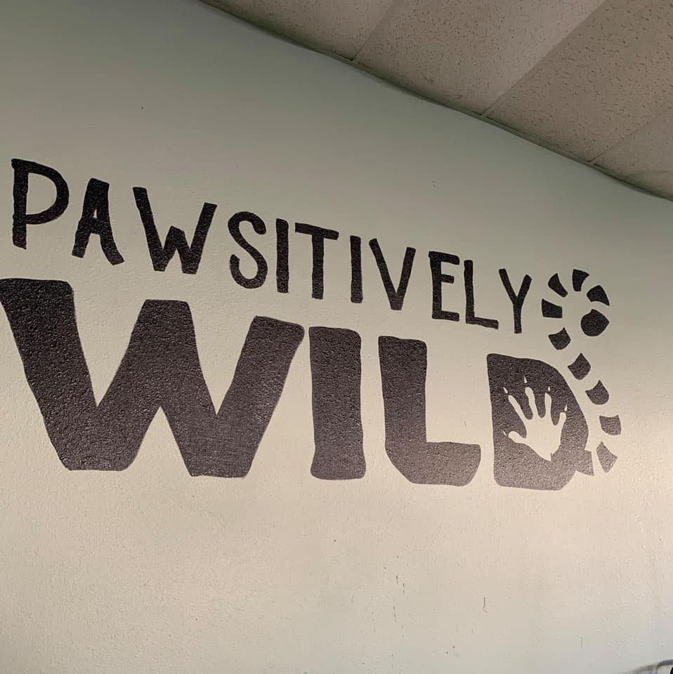 PAWsitively Wild text