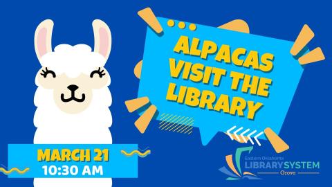 ALPACAS AT GROVE LIBRARY