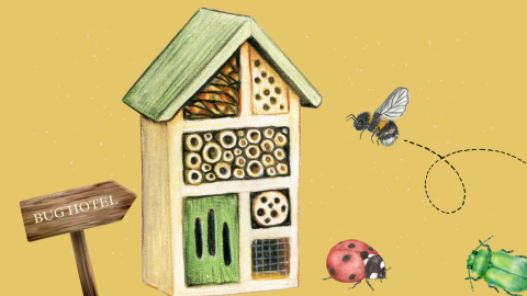 Yellow background with a hotel for bugs and a sign saying "BUG HOTEL" with a lady bug, green beetle, and bee in the image