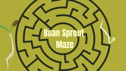 Green Background with circular black maze over it and a bean sprout entering the maze. Text "Bean Sprout Maze" over the center.