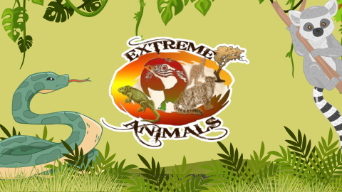 Extreme animal logo with a lemur and snake logo