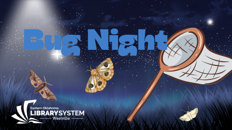 Night sky with text "bug night" a net and moths