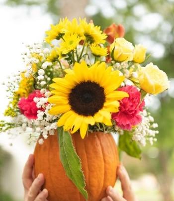 Pumpkin Flowers