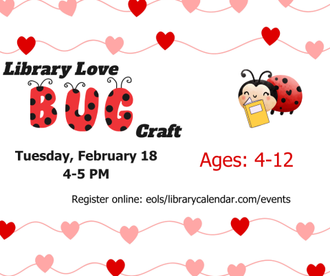 Library Love Bugs