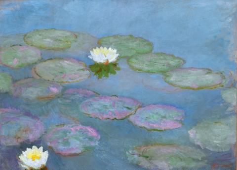 waterlilies