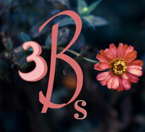 3bs