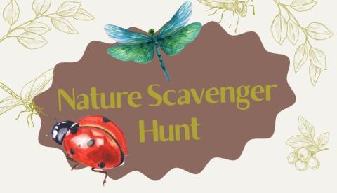 nature scavenger hunt