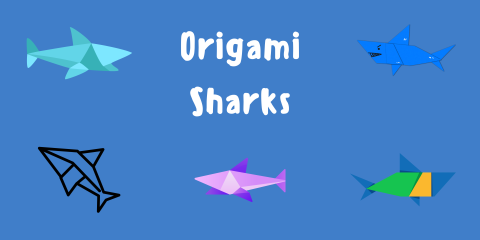 Center text reads 'Origami Sharks' over a blue background. 5 illustrations of various origami sharks are arranged in a semi-circle around the text. 