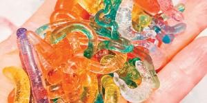 Algae Strings