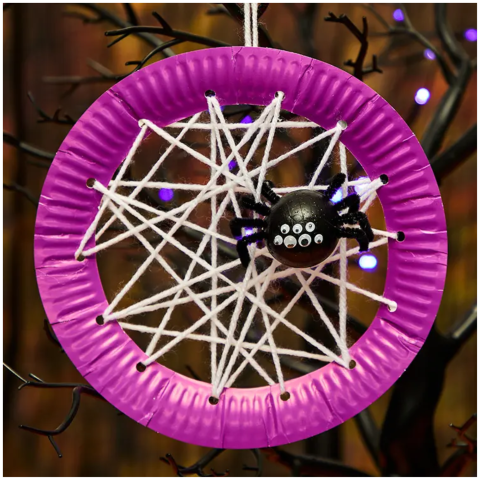 Spider Web