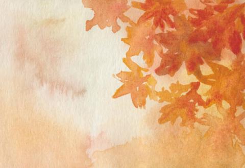 fall