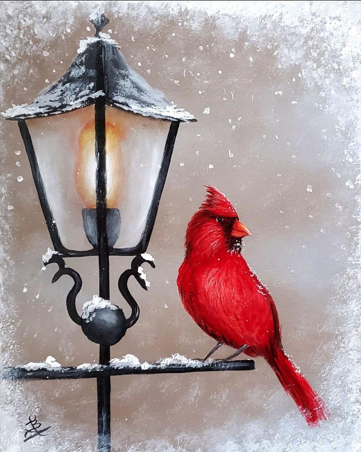 Winter cardinal